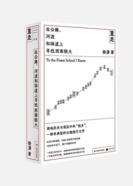 我们纯文学（严肃文学和纯文学的区别）